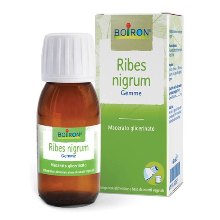 RIBES NIGRUM BOI MG 60ML INT